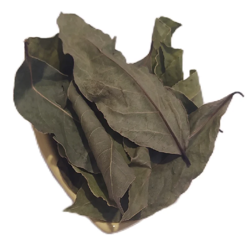 برگ بو